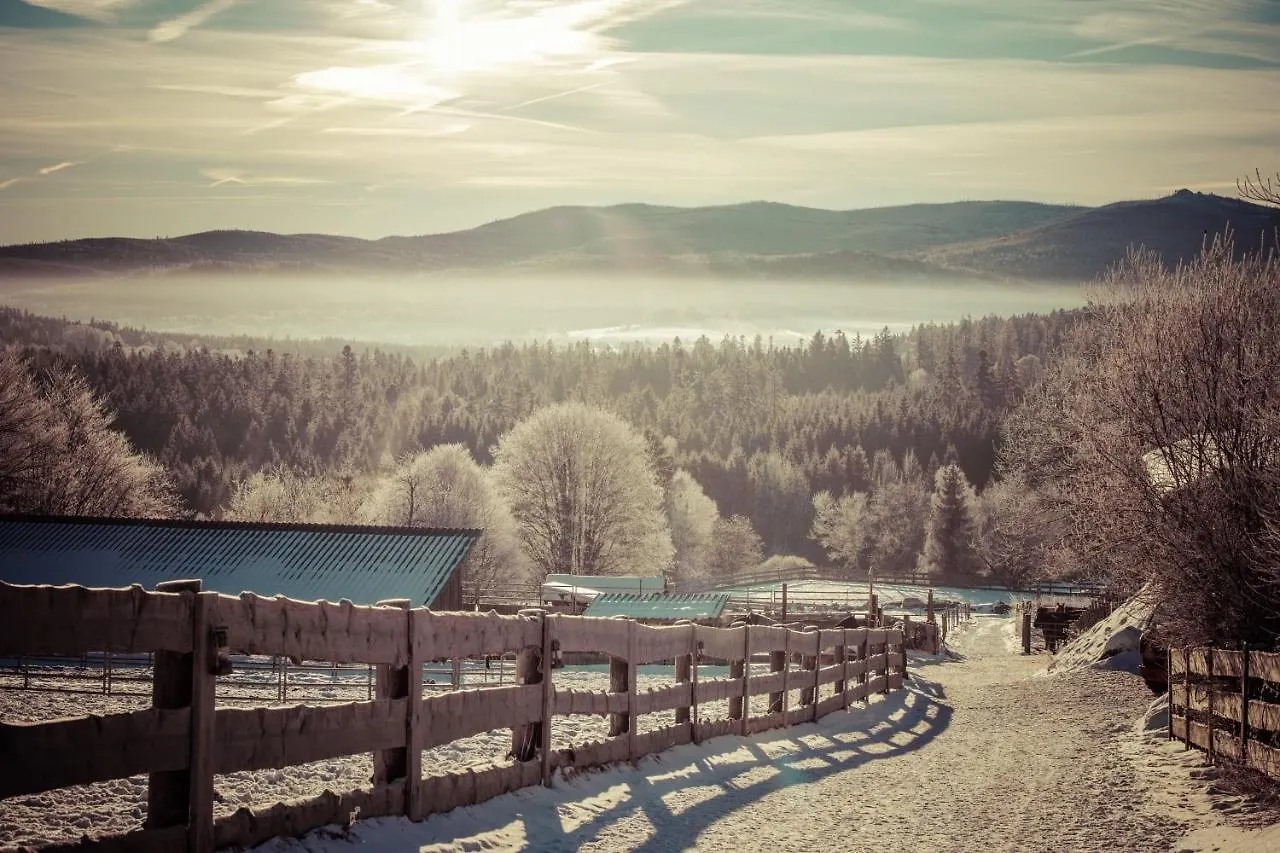 Landhotel Zum Matthiasl Bischofsreut Germany